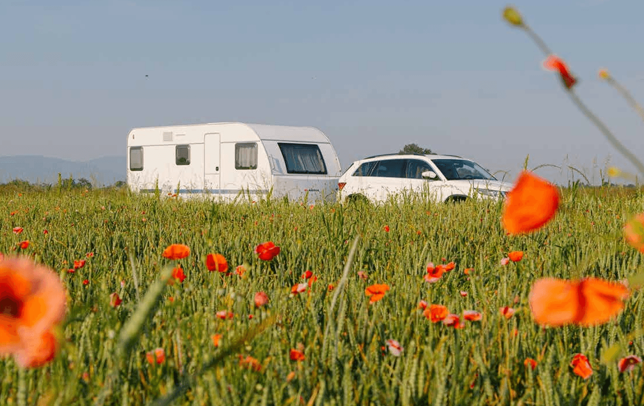 Adria Altea 552 PT - 12